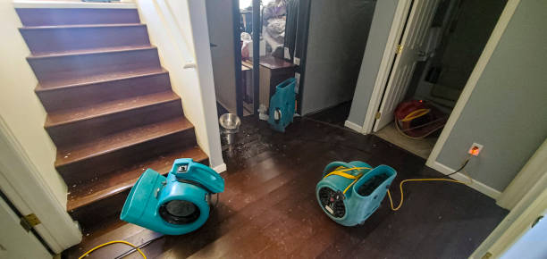 Best Water damage repair service  in Leeds, AL