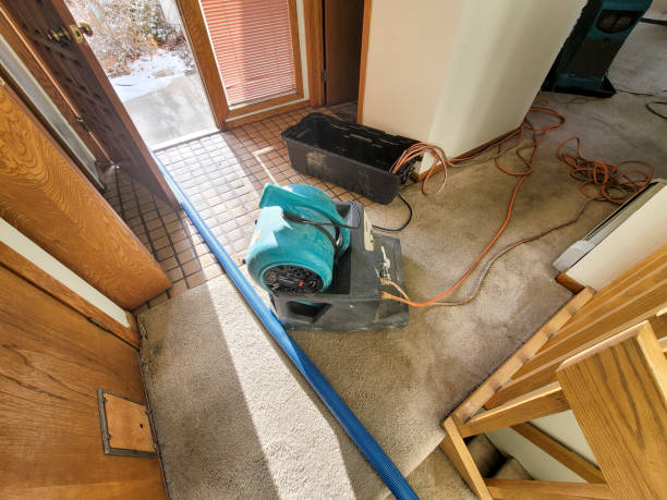 Best Ceiling water damage repair  in Leeds, AL