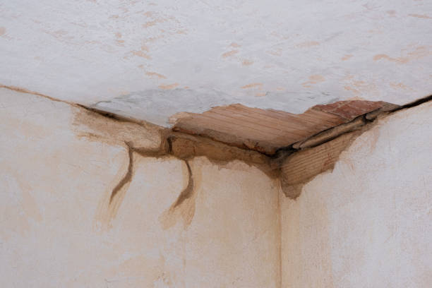 Best Mold removal after water damage  in Leeds, AL