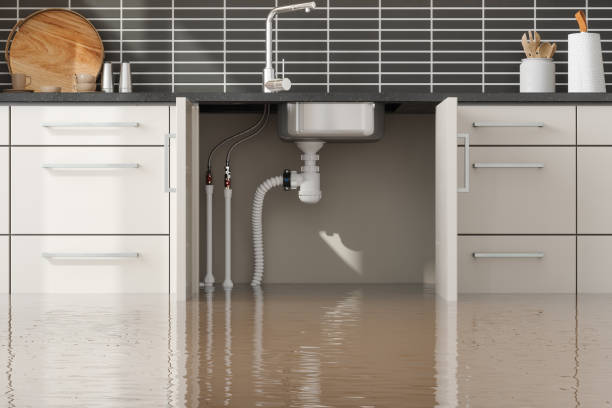 Best Fire Damage Restoration  in Leeds, AL